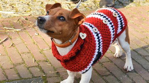 Come realizzare un cappottino per cani da un vecchio maglione.